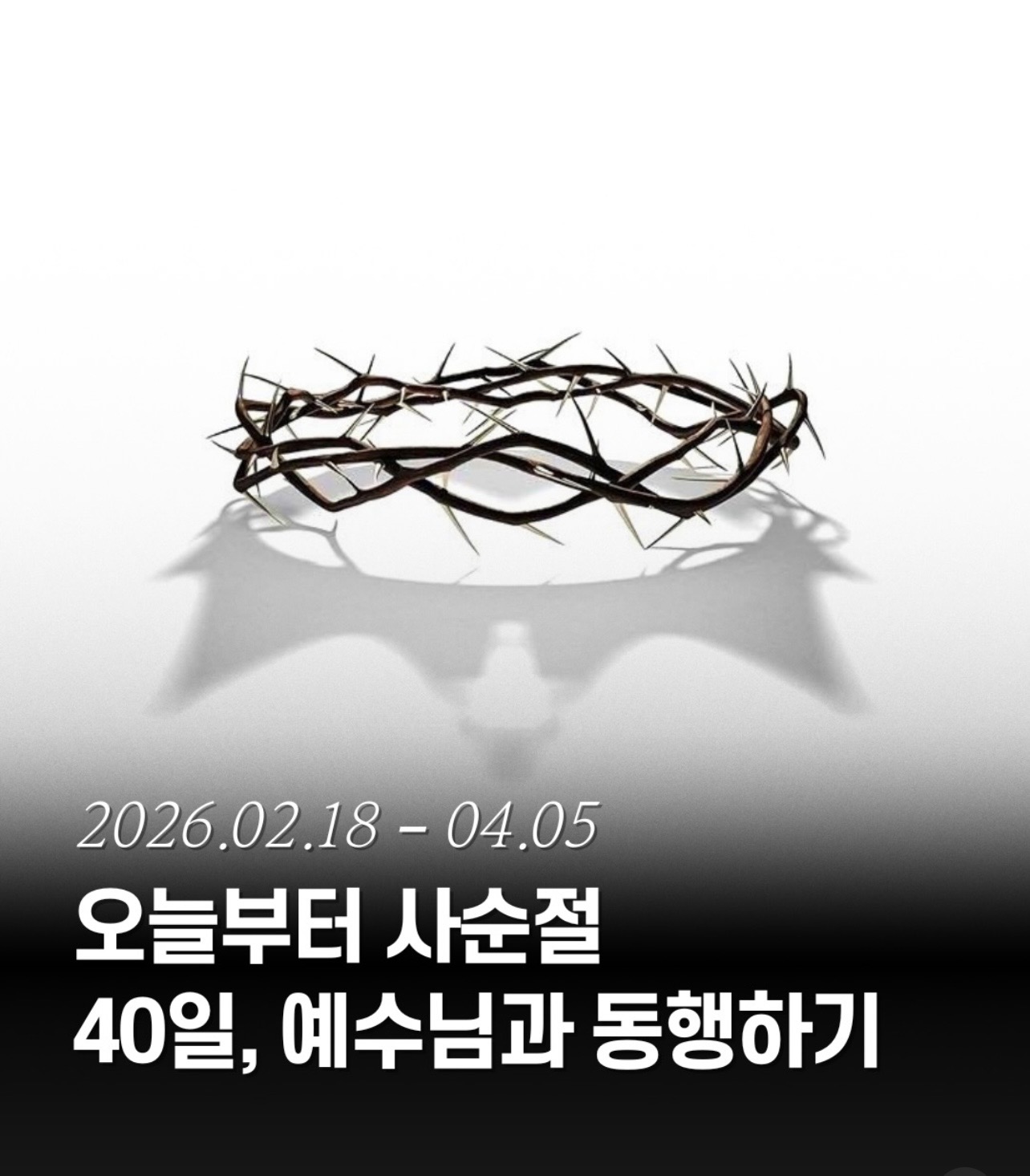 사순절이 시작되었습니다!!!!!!!!