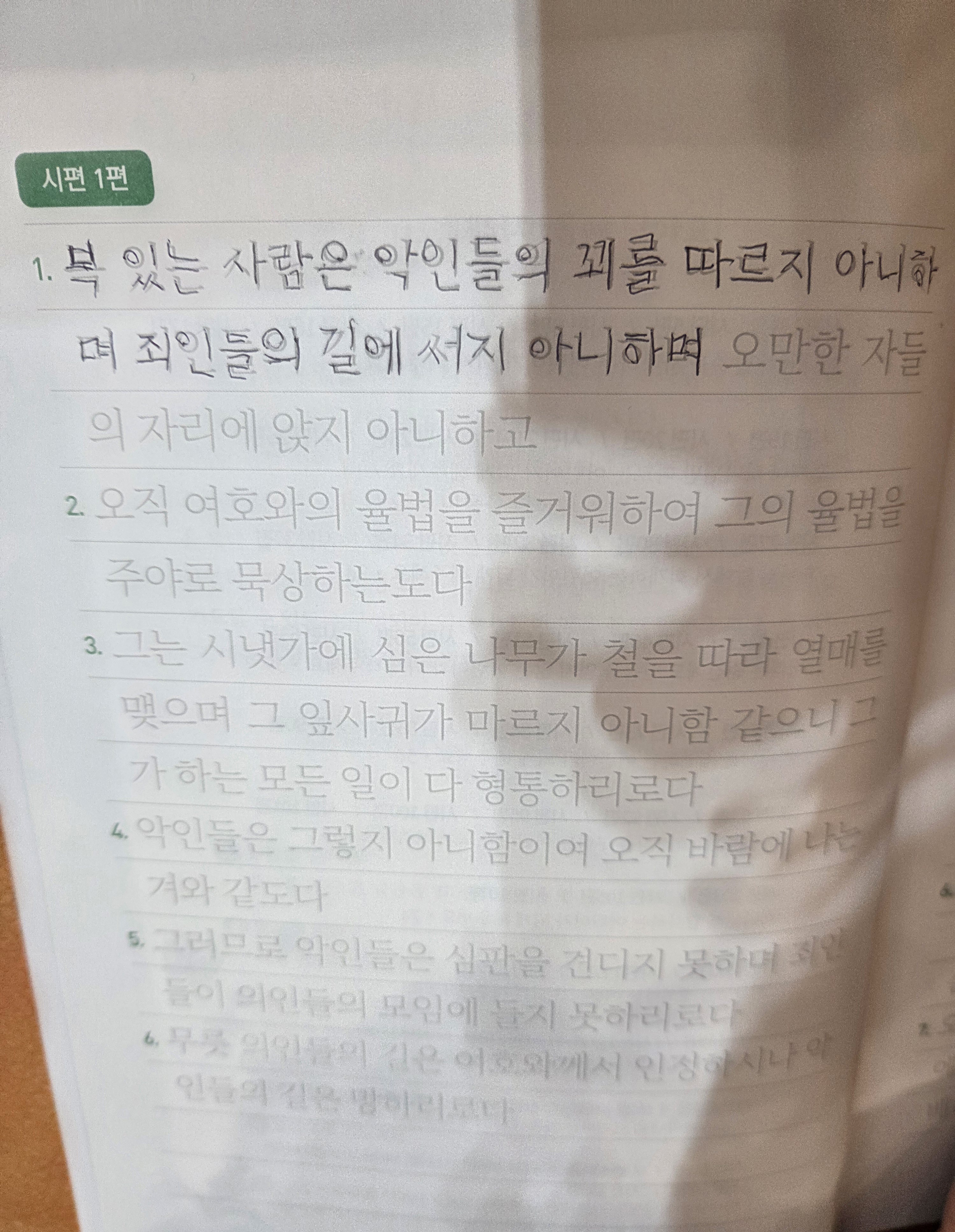 갤러리 이미지