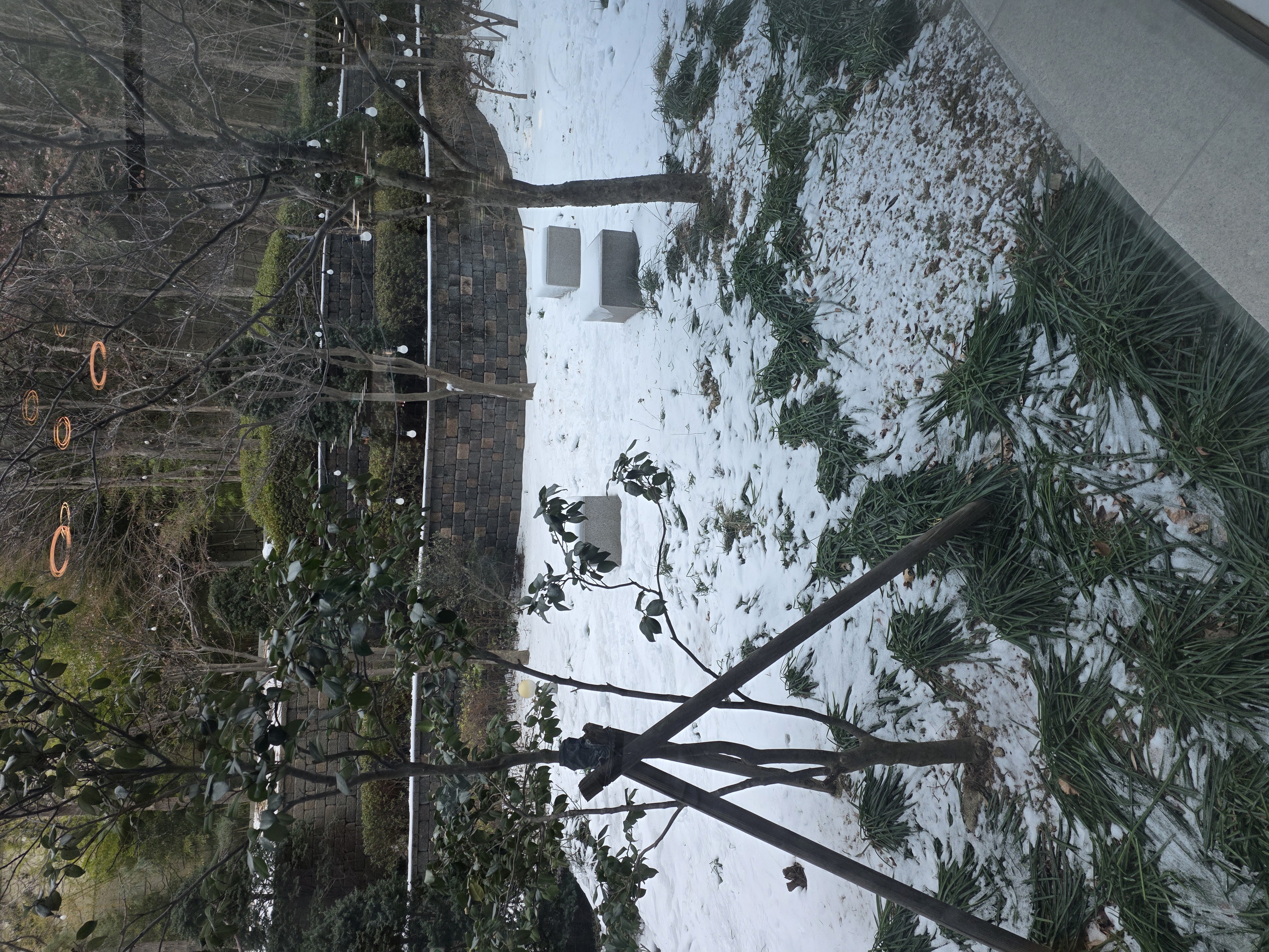 울산 동구에 눈이 왔었네요