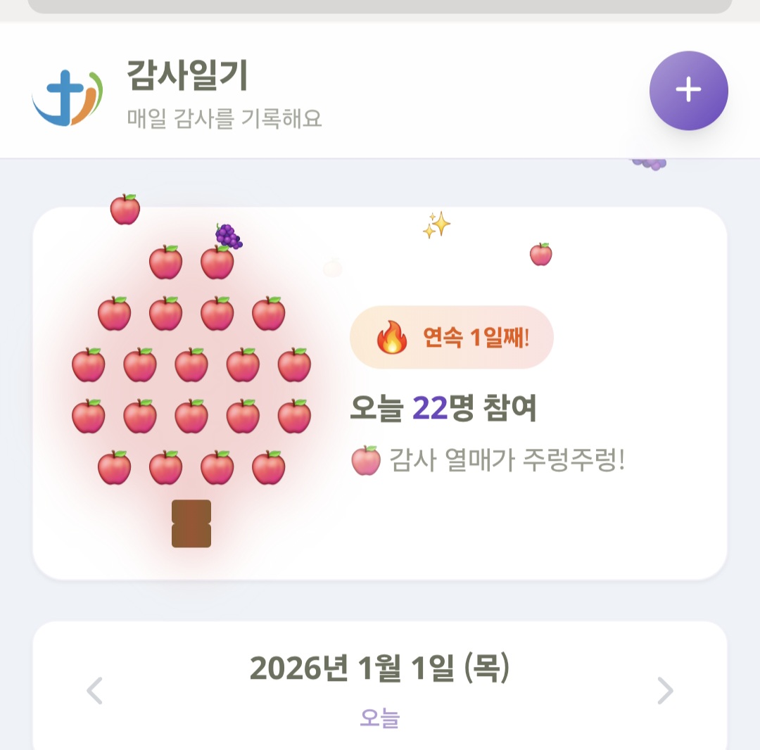 감사나무🩷💚❤️💜💛