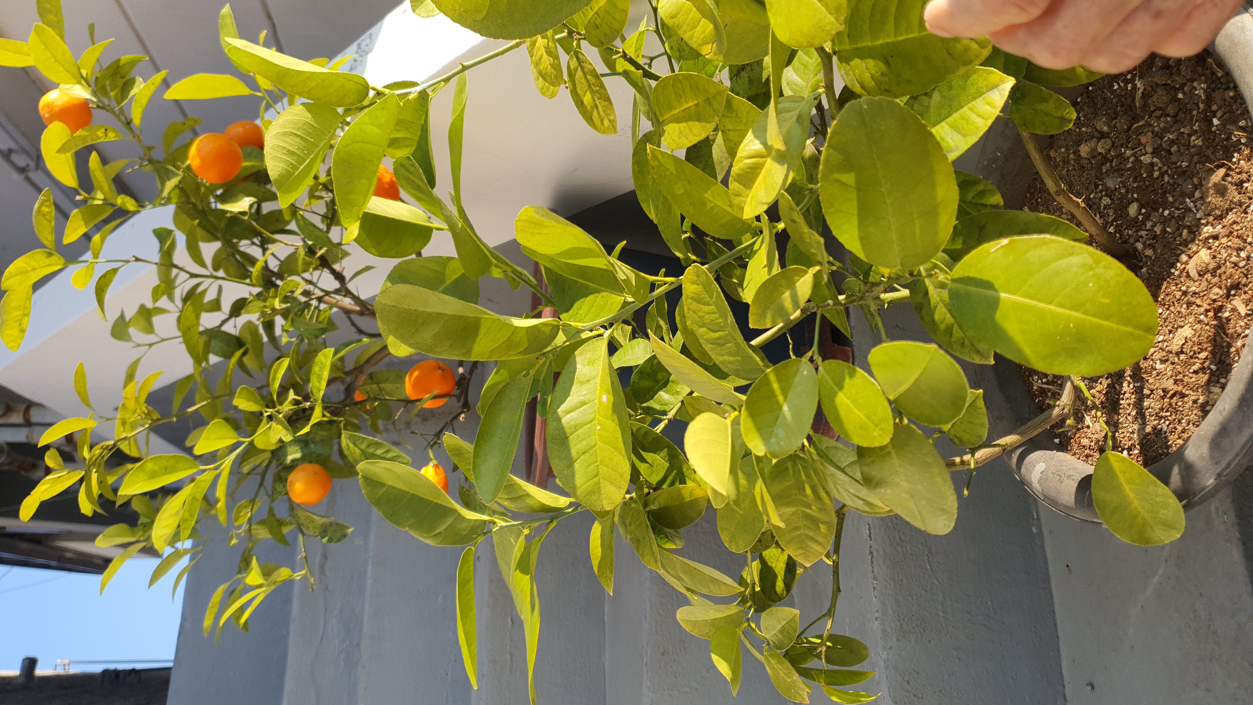 오랜만에 집주위 청소 해 봅니다