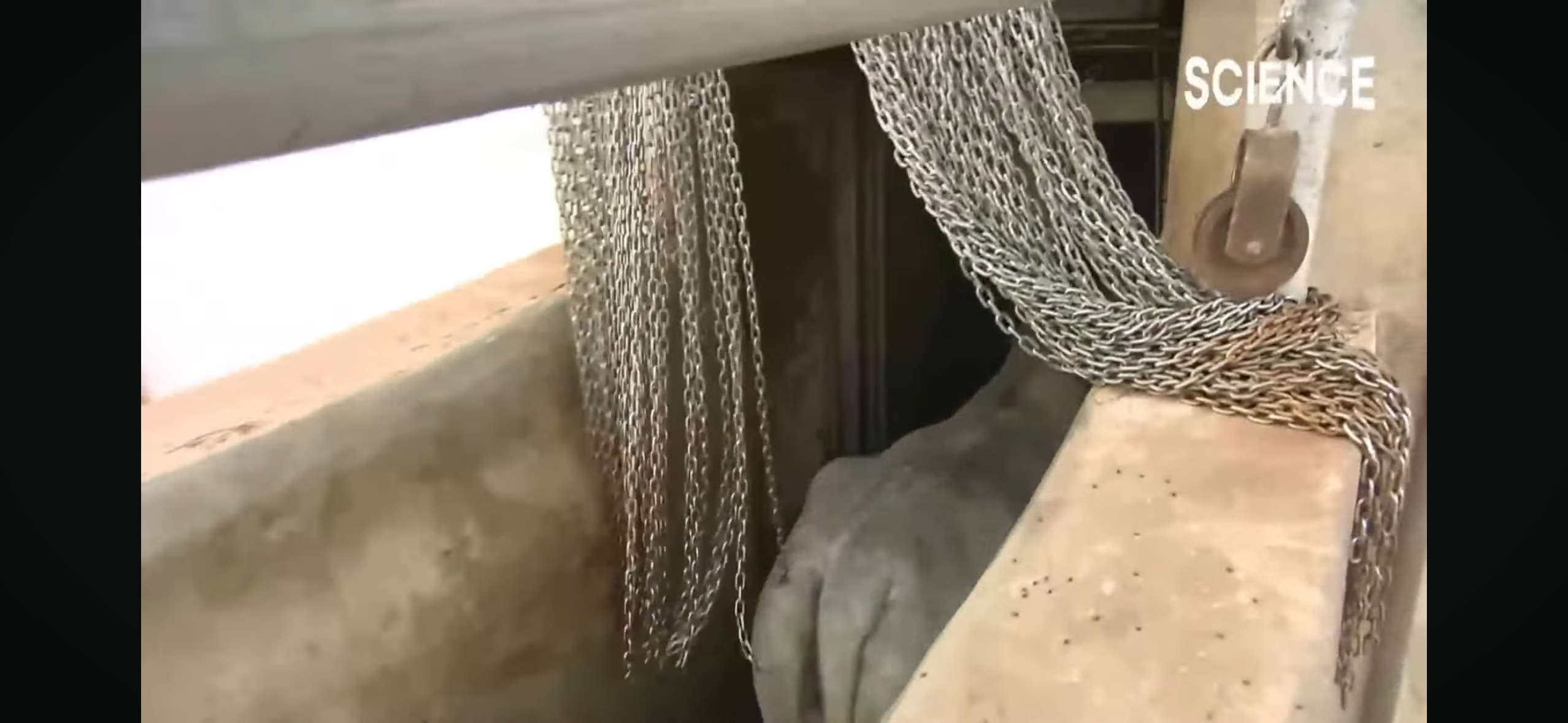 하나님이 주신 자유의지