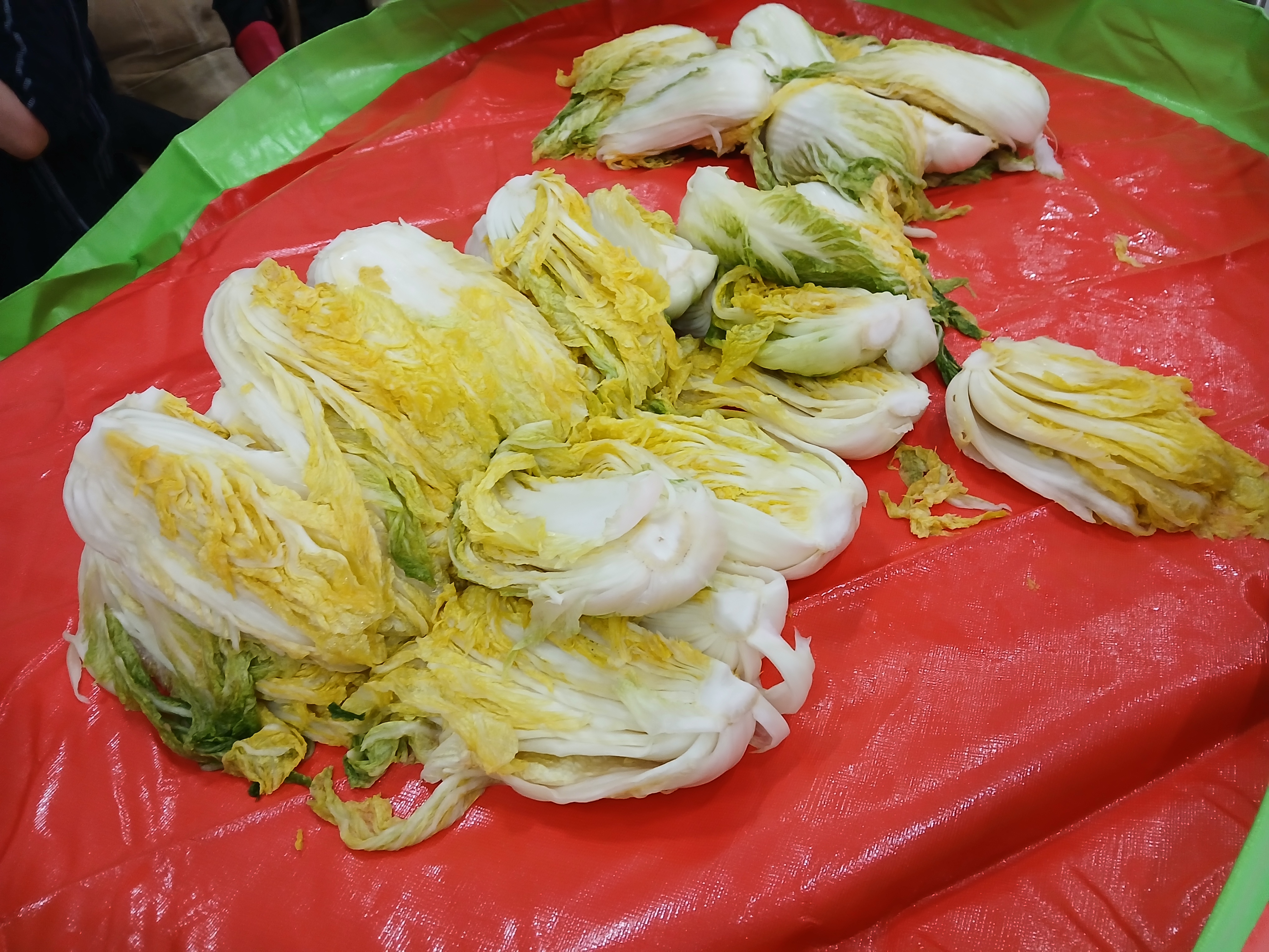 김장 해 볼까요