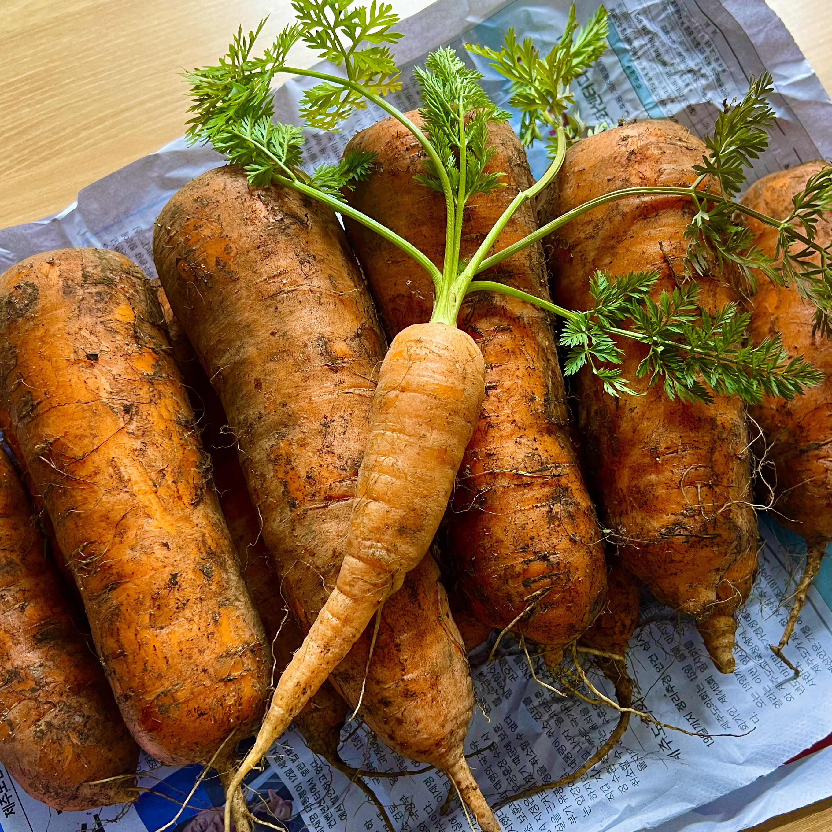 오사당 ~ 🍊🍎🥕