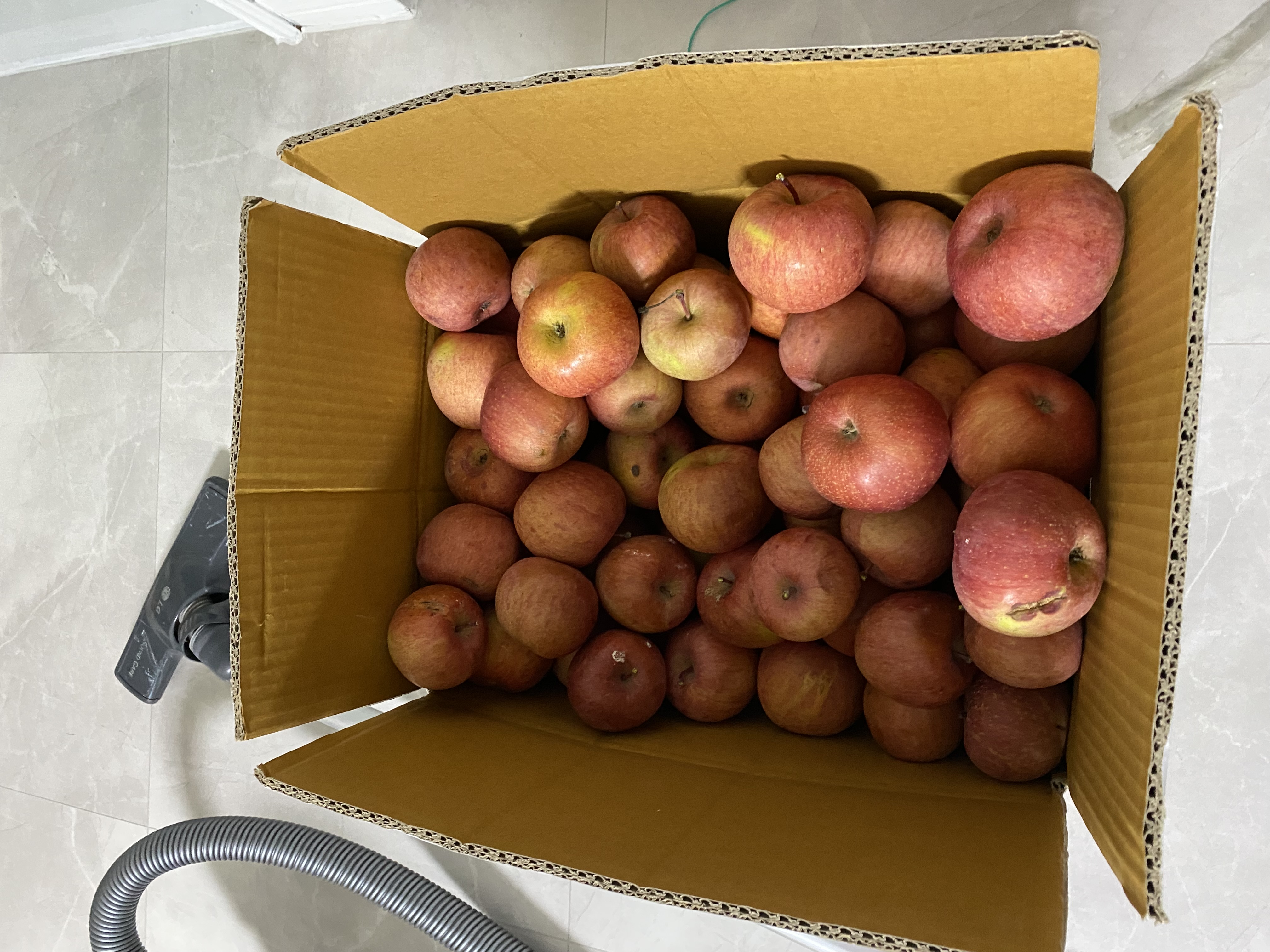 내.사과를 받아죠~~