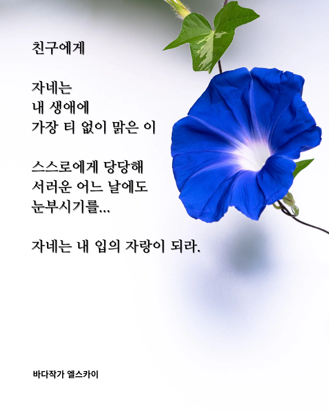 친구에게(노래)