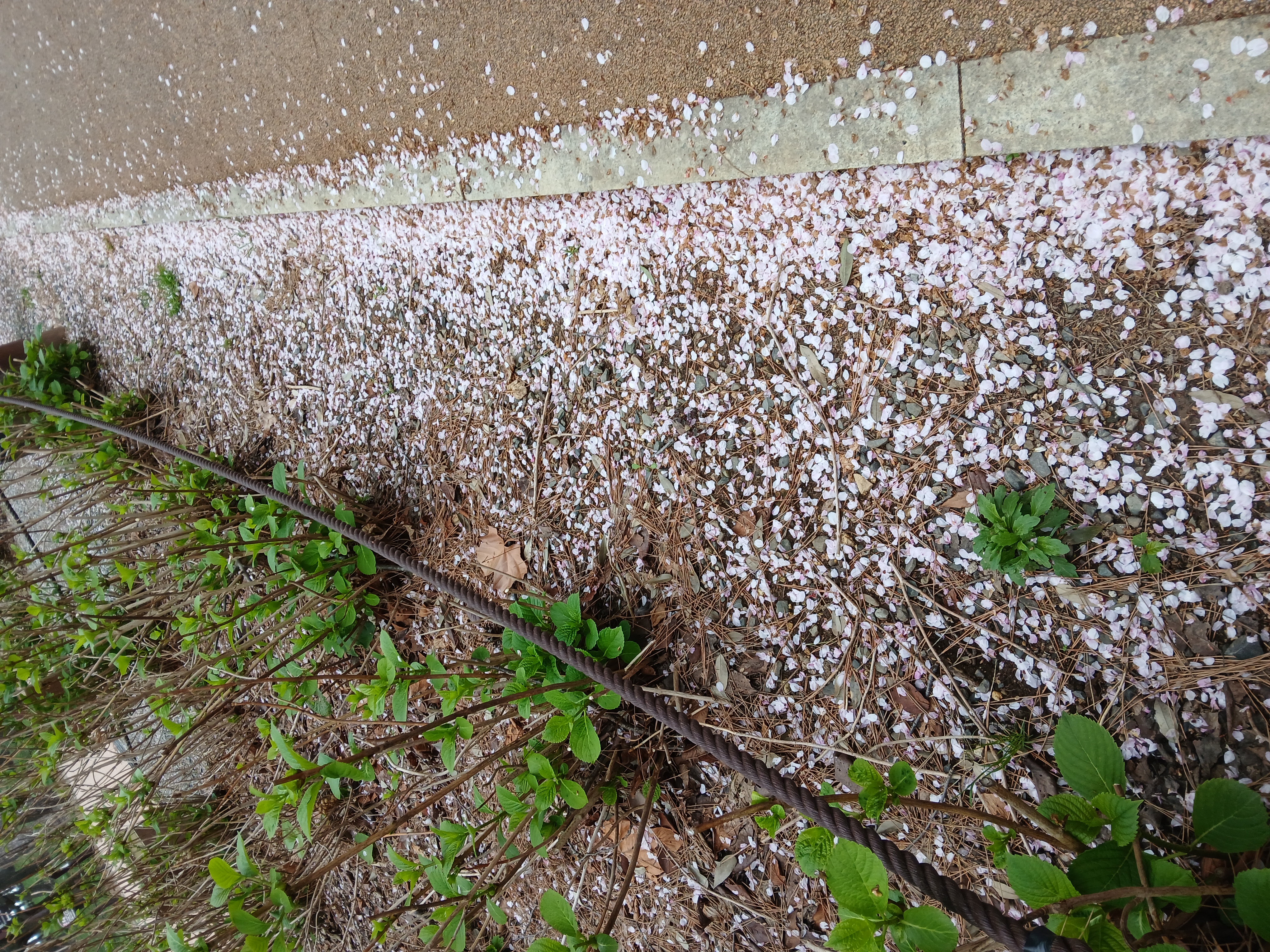 눈 꽃~!!!!!!!!!!!!