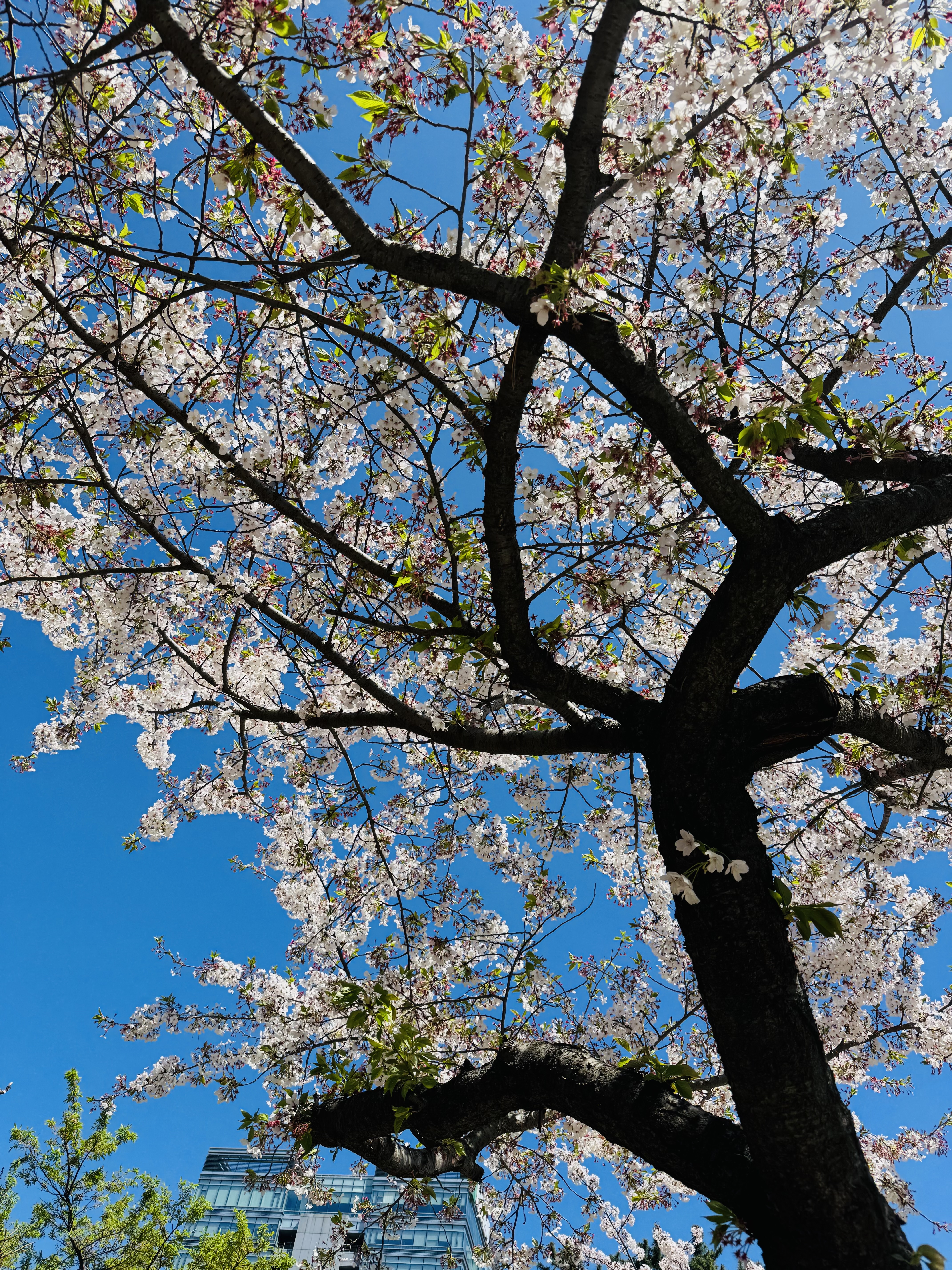 점심 주변 정경