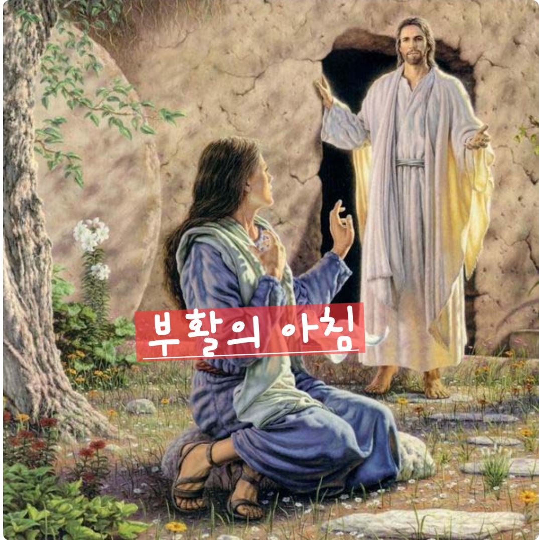 부활의 아침( 찬송가 )