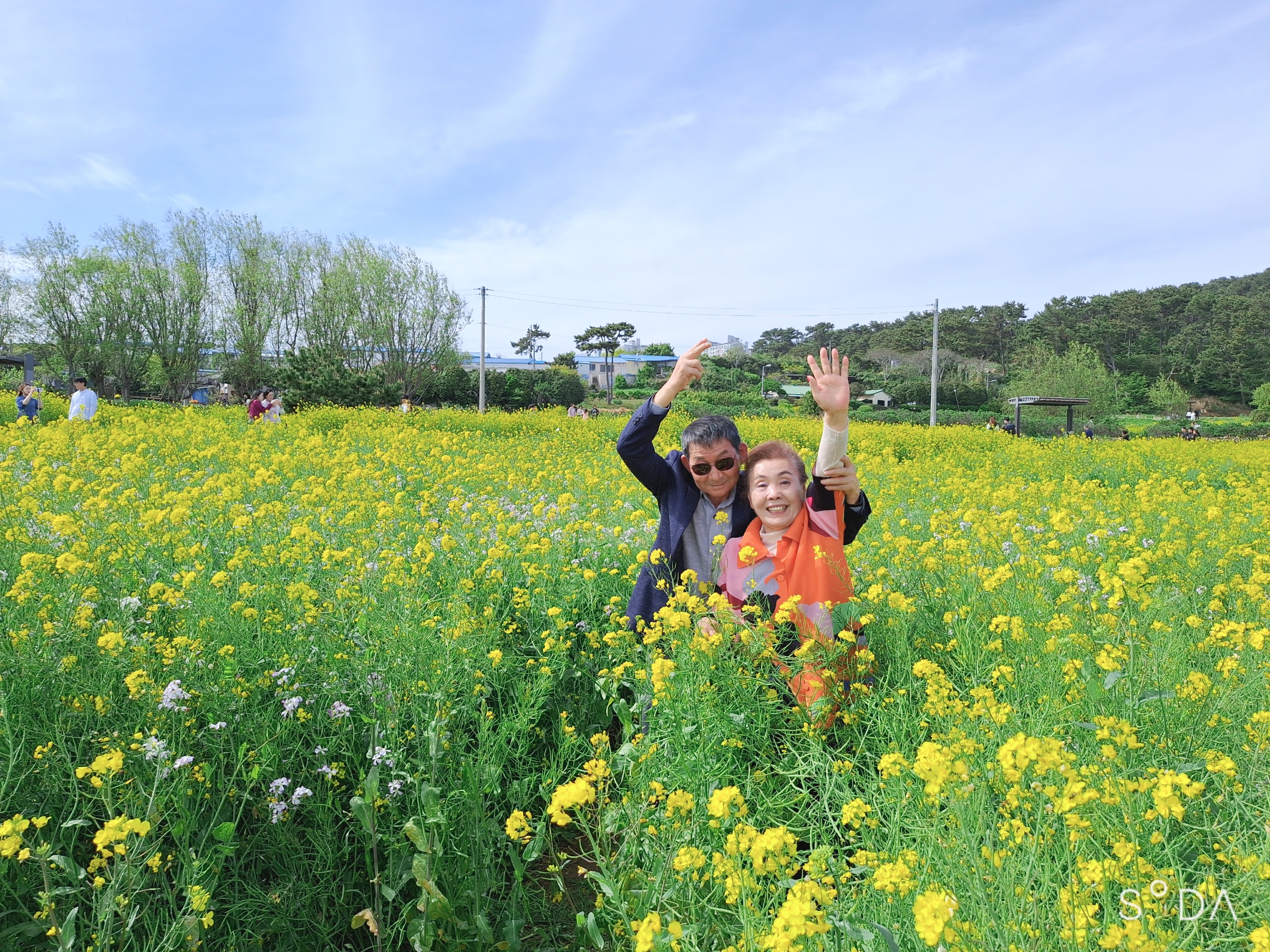 감사합니다 💚 💚 💚